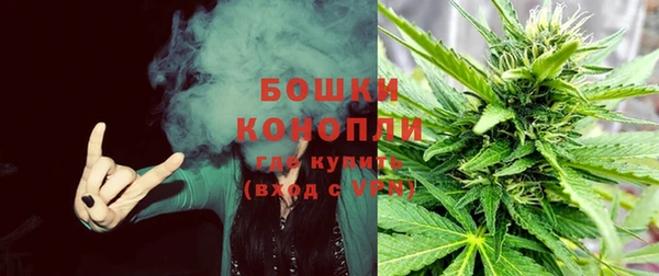 эйфоретик Богородицк